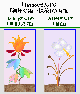 狗年の第一株花的雙親