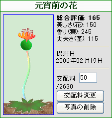 ”元宵前の花”