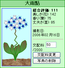 ”大雨點”的雙親