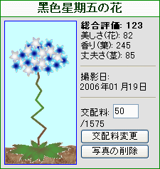 黑色星期五の花