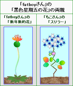 黑色星期五の花的雙親