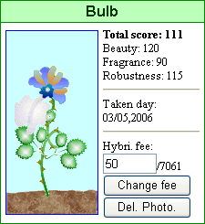 Bulb