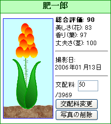 肥一郎