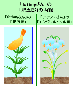 肥五郎的雙親