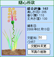 ”隨心所欲”