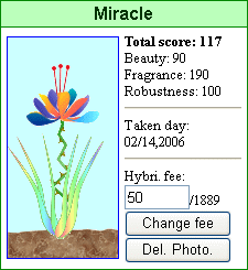 ”Miracle”