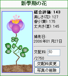 新學期の花