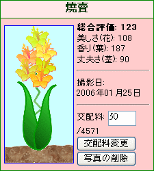 燒賣