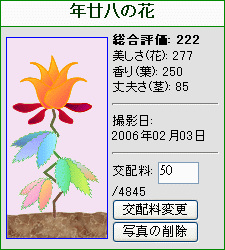 ”年廿八の花”