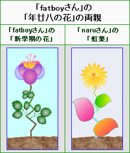 ”年廿八の花”的雙親