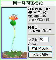 ”同一時間在種花”