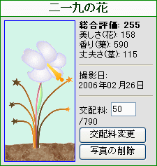 ”二一九の花”