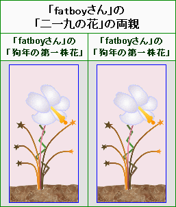 ”二一九の花”