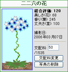 二二六の花